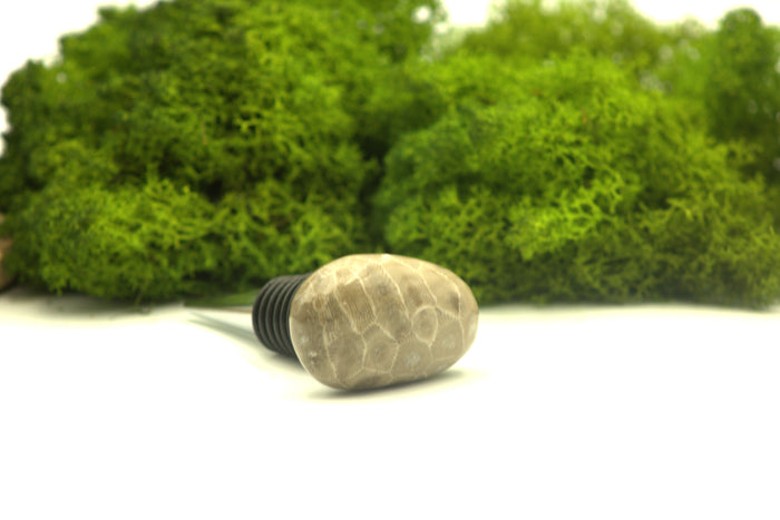 Petoskey Stone Wine Stopper