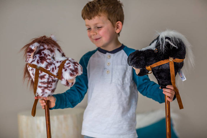 Easy to Ride Black Horse