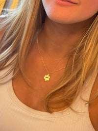 Paw GameDay Necklace in Silver