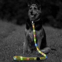 LED Dog Leash in Blue