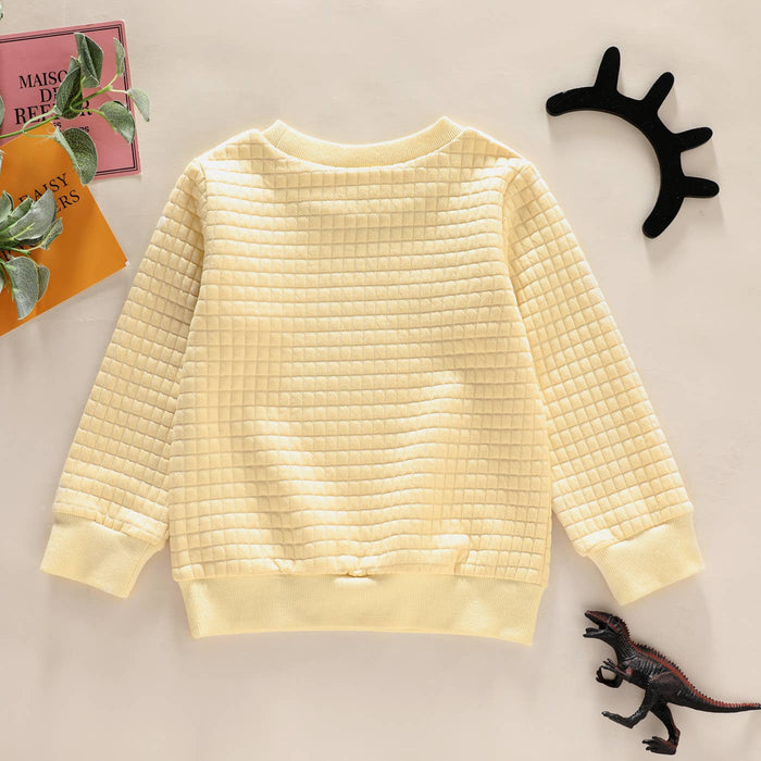 Dinosaur Textured Pullover in Cream