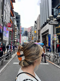 Hand-painted Sushi Claw Hair Clip | Eco-Friendly