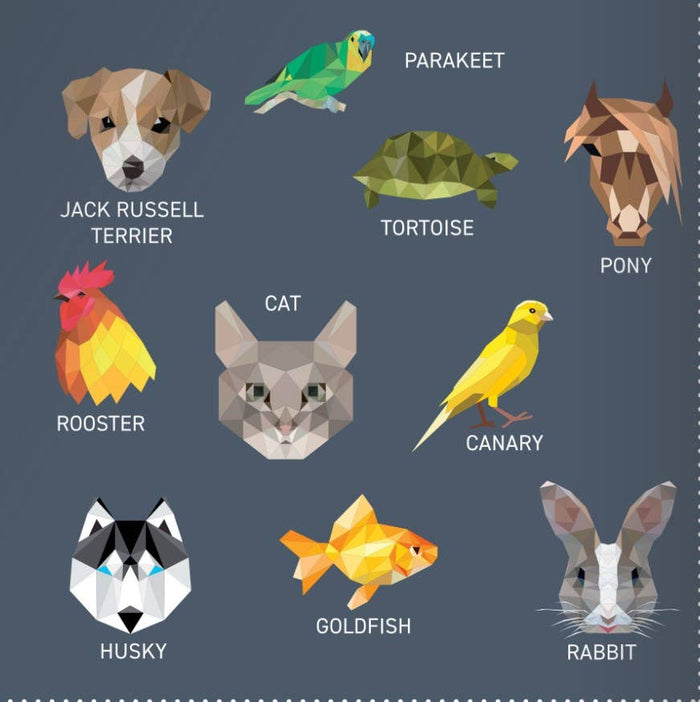 Activity Sticker Book: Pets