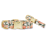 Peaches and Cream Dog Collar: XS in Gold