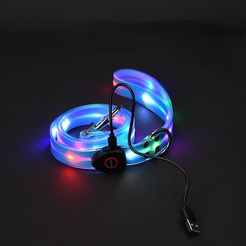 LED Dog Leash in Blue