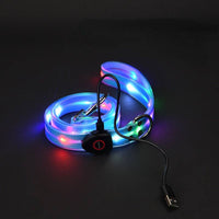 LED Dog Leash in Blue