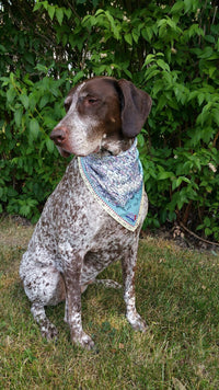Wear This Map - Bandana