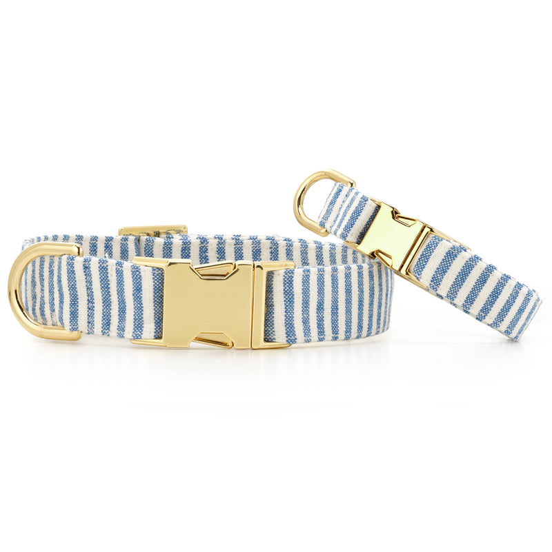 Lake Blue Stripe Spring Dog Collar: Small in Gold
