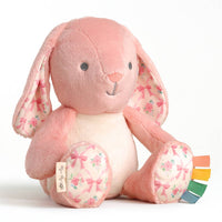 Sweetie Snuggle Plush: Ana the Bunny