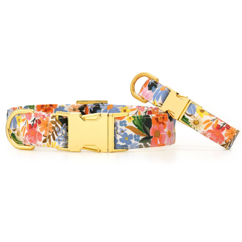 Rifle Paper Co. x TFD Marguerite Spring Dog Collar: Small in Gold