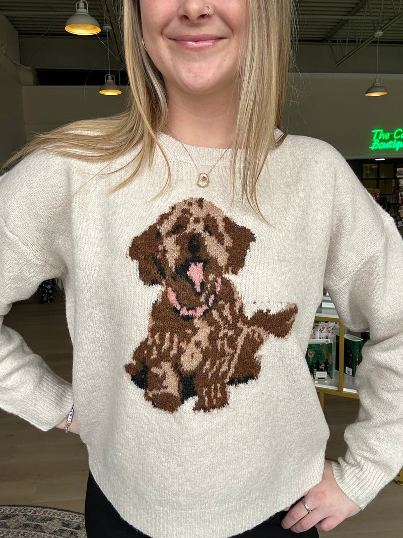 Playful Puppy Sweater