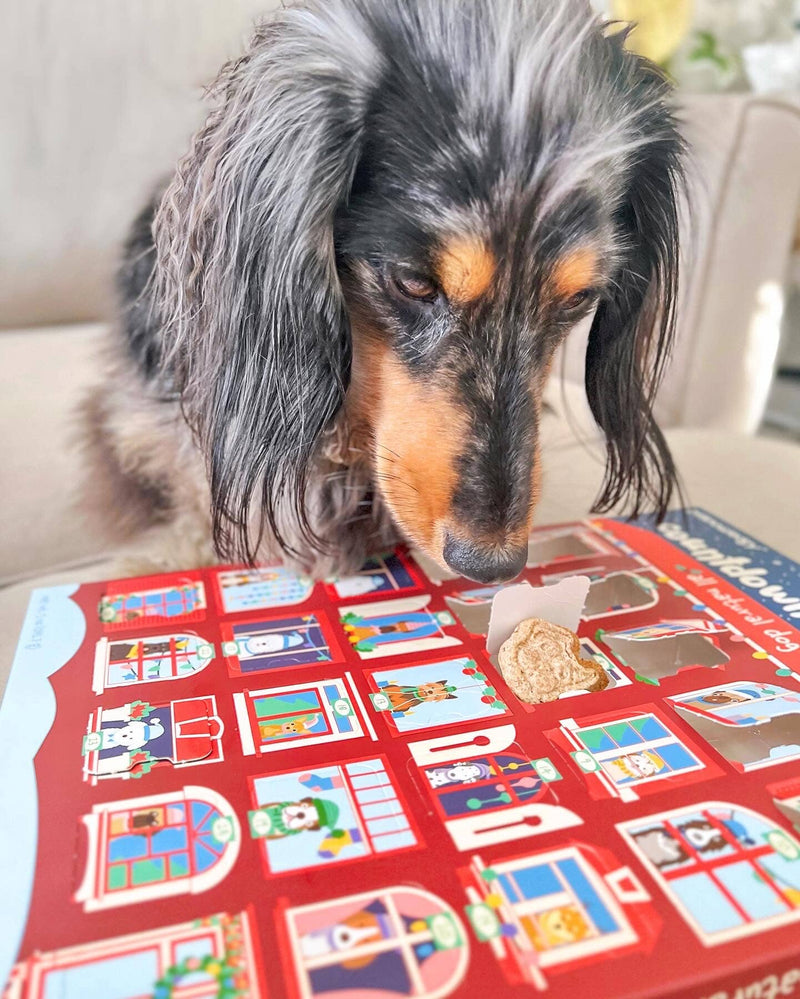 Advent Calendar: 25 Days of Dog Treats