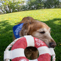 Best Rescue Ever - 10" Rope Dog Toy