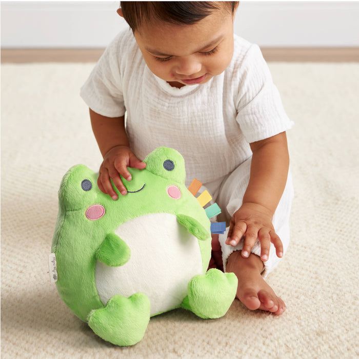 Sweetie Snuggles Plush: Freddie the Frog