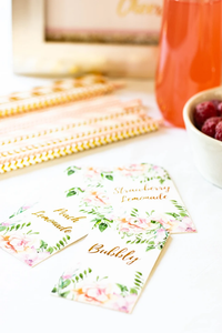 Watercolor Pink Florals & Gold Mimosa Bar Decoration Kit