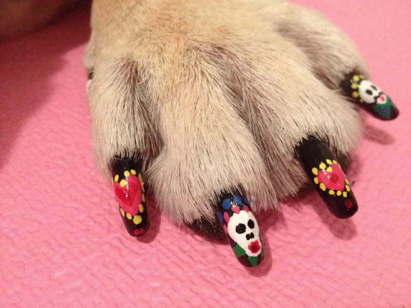 Red Pawdicure Nail Polish Pen Quick Dry