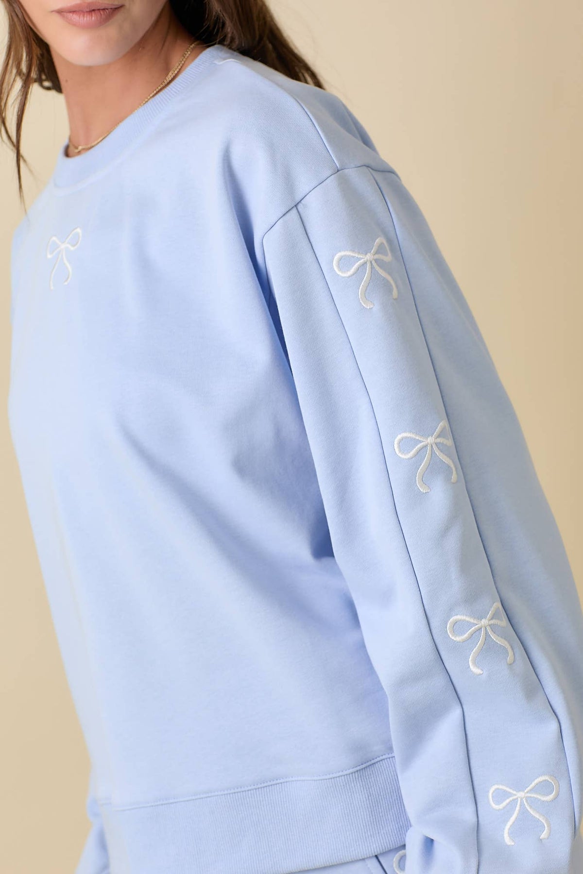 Crewneck With Ribbon Bows in Light Blue