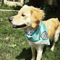 Wear This Map - Bandana