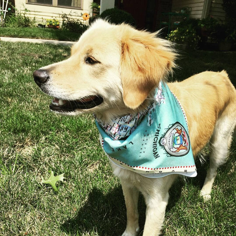 Wear This Map - Bandana