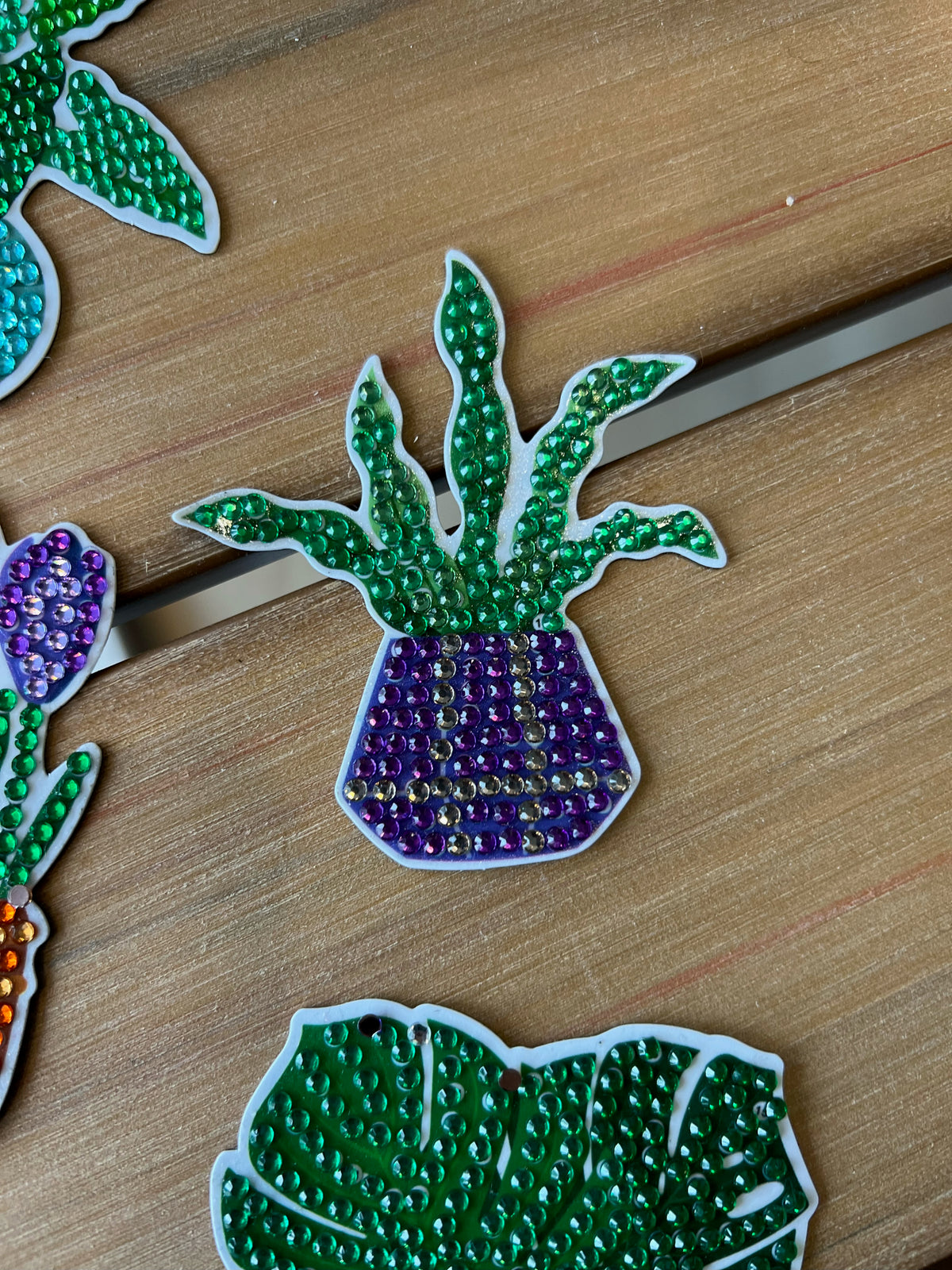 Plant Magnets