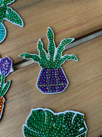 Plant Magnets