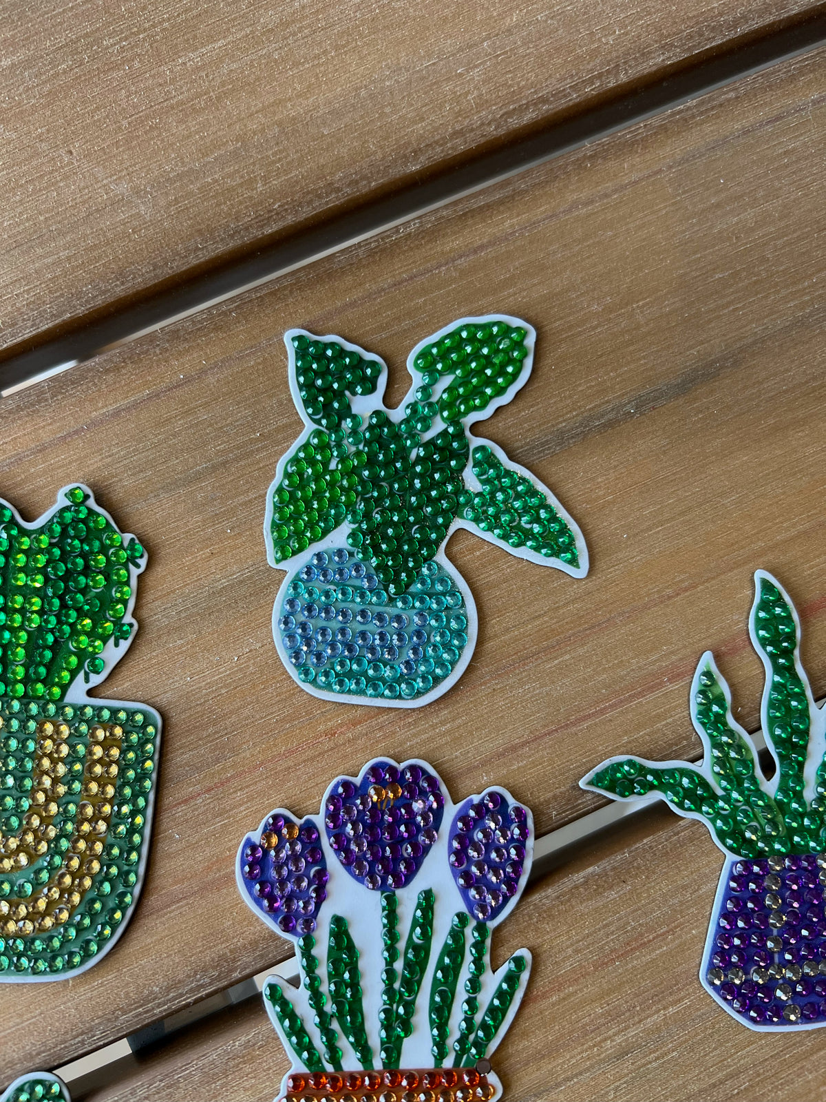 Plant Magnets