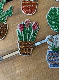 Plant Magnets