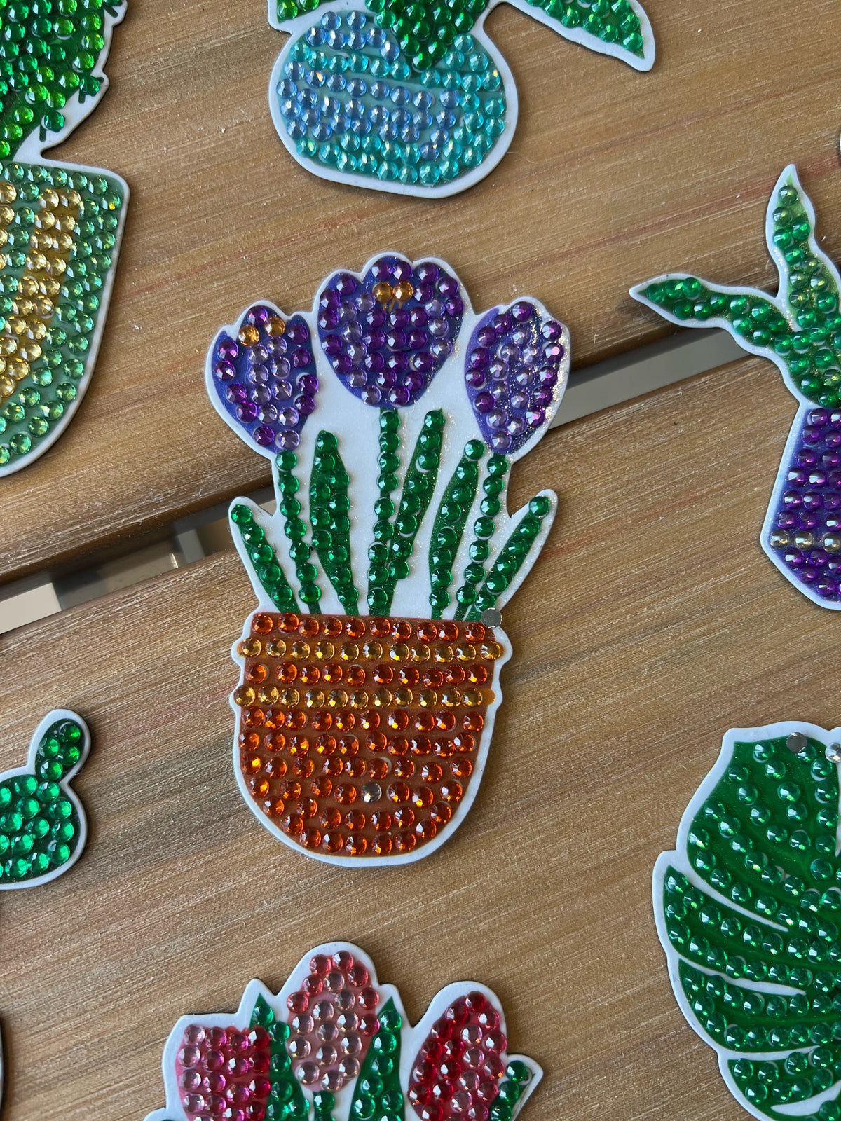 Plant Magnets