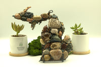 Michigan Rock Map With Petoskey Stone