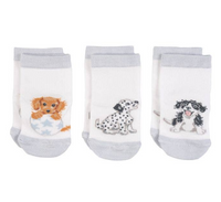 Little Wren Baby Bamboo Socks Set