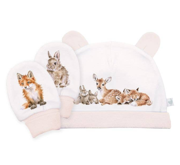 Little Wren Hat and Mitten Set