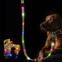 LED Dog Leash in Blue