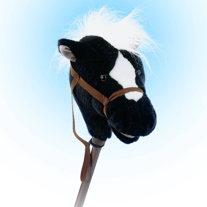 Easy to Ride Black Horse