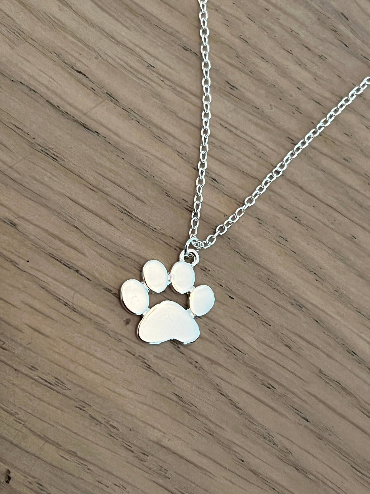 Paw GameDay Necklace in Silver