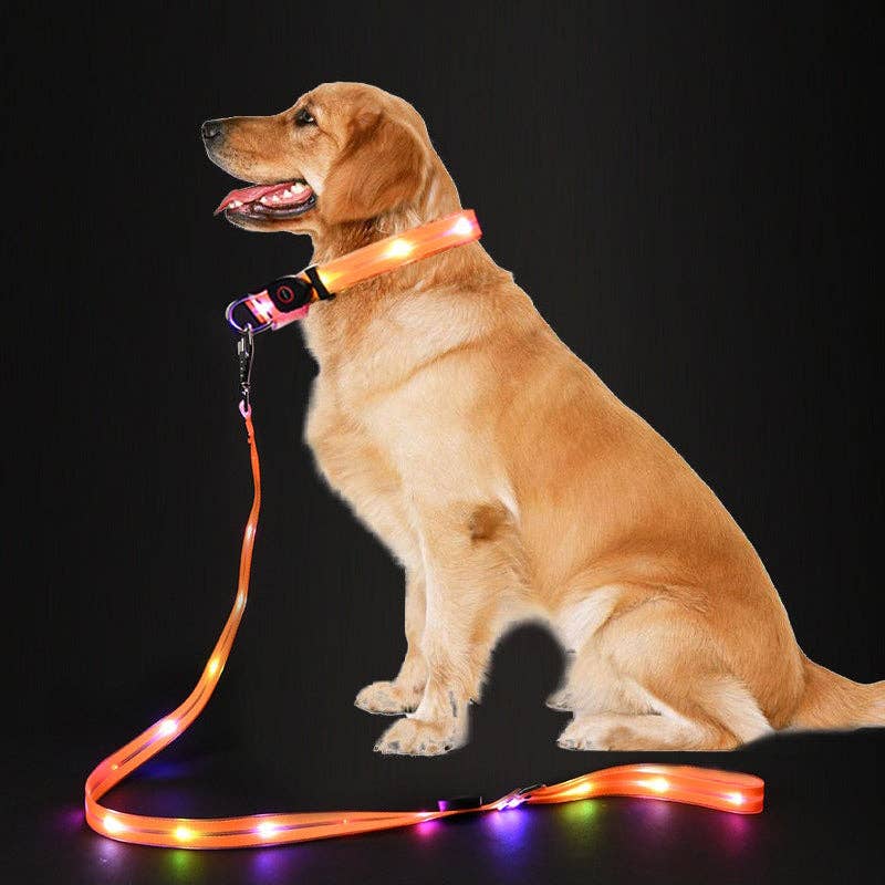 LED Dog Leash in Blue