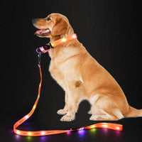 LED Dog Leash in Blue