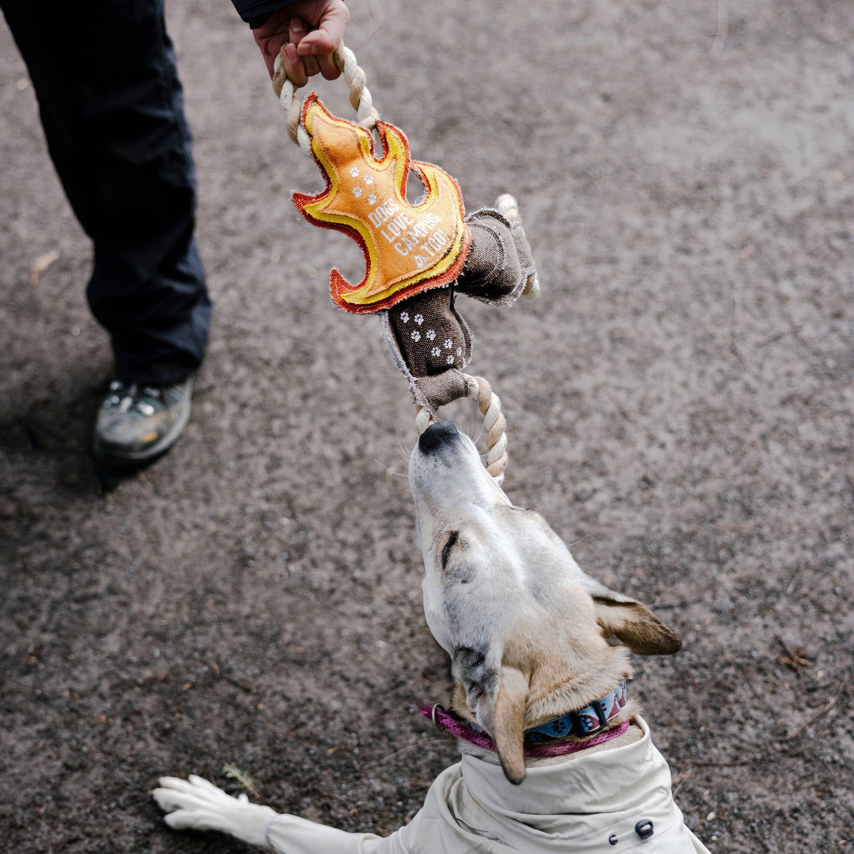 Dogs Love Camping Too - 12" Rope Dog Toy