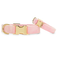 Blush Pink Velvet Dog Collar: Medium in Gold