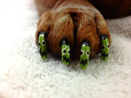 Red Pawdicure Nail Polish Pen Quick Dry