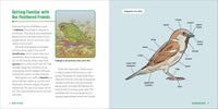 Birds for Kids