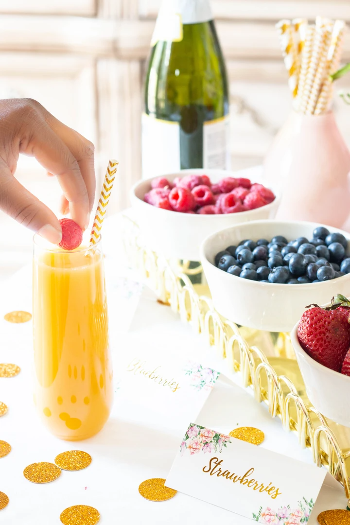 Watercolor Pink Florals & Gold Mimosa Bar Decoration Kit