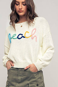 Beach Embroidered Crochet Knit Sweater in Ivory