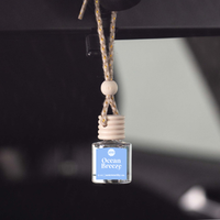 Peach Mango Bellini Car Diffuser