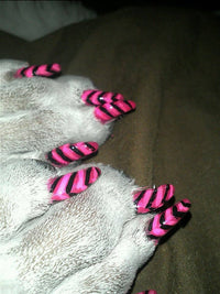 Red Pawdicure Nail Polish Pen Quick Dry