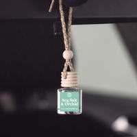 Peach Mango Bellini Car Diffuser