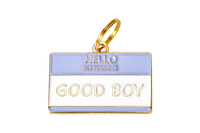 Good Boy Pet ID Tag